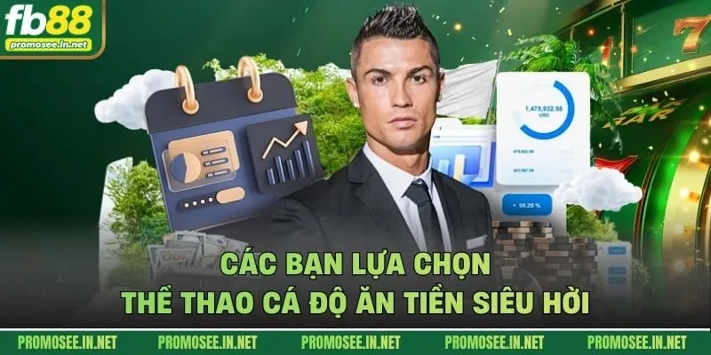 Các bạn lựa chọn thể thao cá độ ăn tiền siêu hời